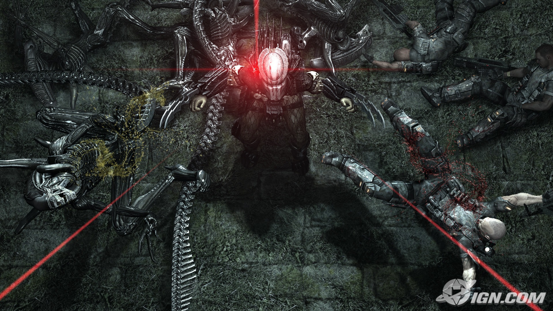 Aliens vs. Predator - the story of killing (a game?) Aliens vs. Predator - the story of killing (a game?)
